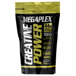 MEGAPLEX